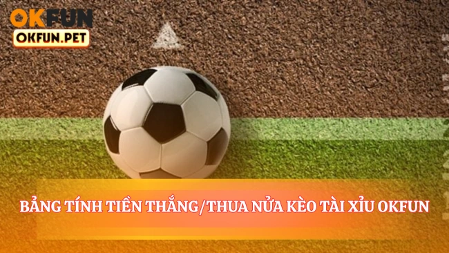 Bảng tính tiền thắng/thua nửa kèo Tài Xỉu OKFUN