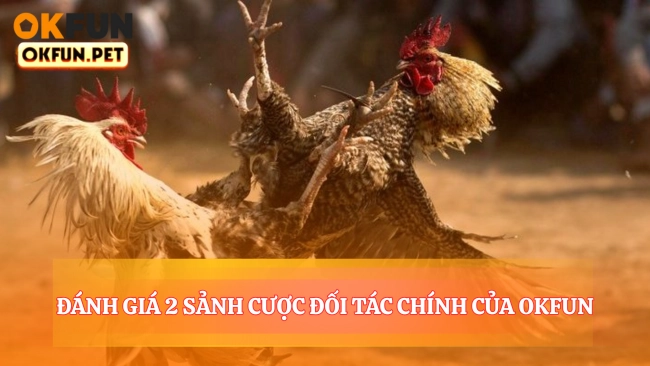 Đánh Giá 2 Sảnh Cược Đối Tác Chính Của Okfun