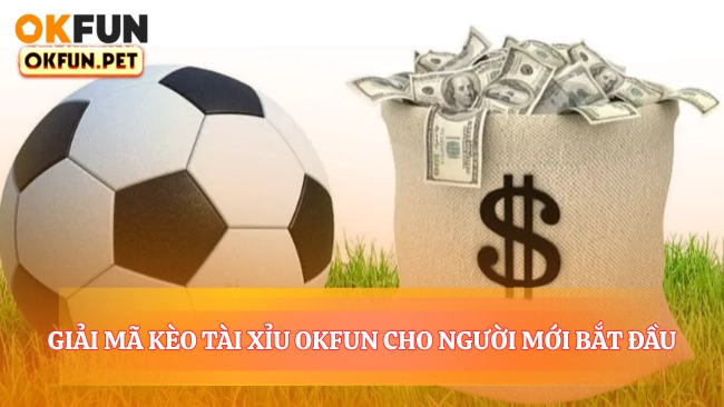 Giải Mã Kèo Tài Xỉu OKFUN Cho Người Mới Bắt Đầu